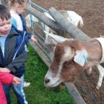 MS : Découverte des animaux de la ferme !!!